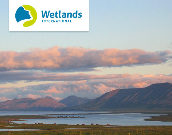 ROC YOUR PLANET donates €1500 to Wetlands International